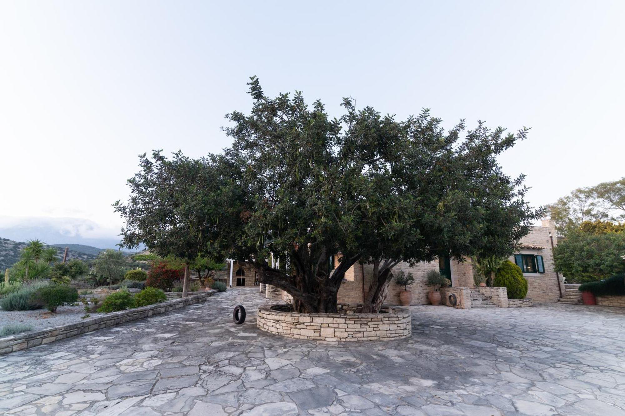 Carob Villa Moírai Eksteriør billede